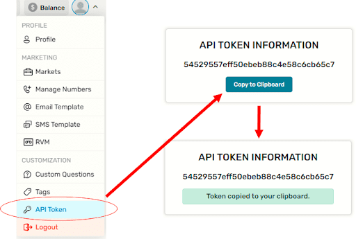side panel with red circle around api token and arrow pointing toward copy to clipboard button on api token information