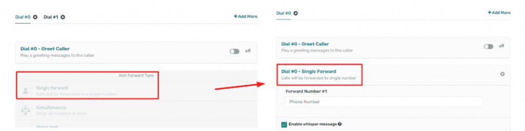 red boxes around forward type and red arrow pointing dial#0 single forward details